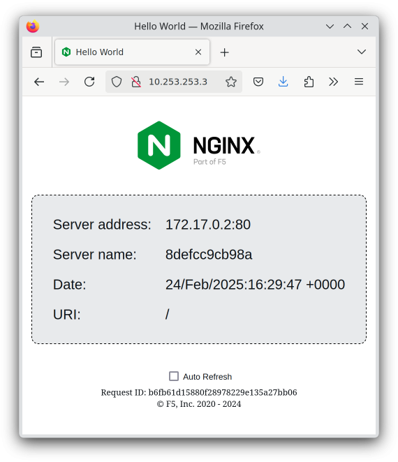 Flatcar Linux running Nginx demo container