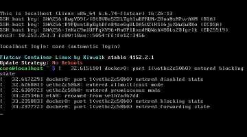 Flatcar Linux up and running